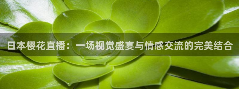 星空影视大全片库