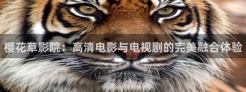 五哈5免费观看完整版老湿影院