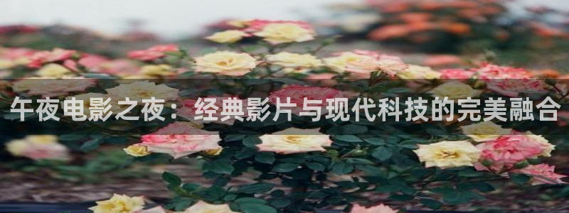 老湿影院在线观看免费播放电视剧大全
