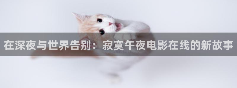 星空在线观看免费高清电影