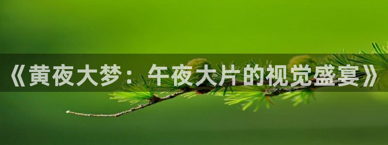 星空传媒影院在线观看