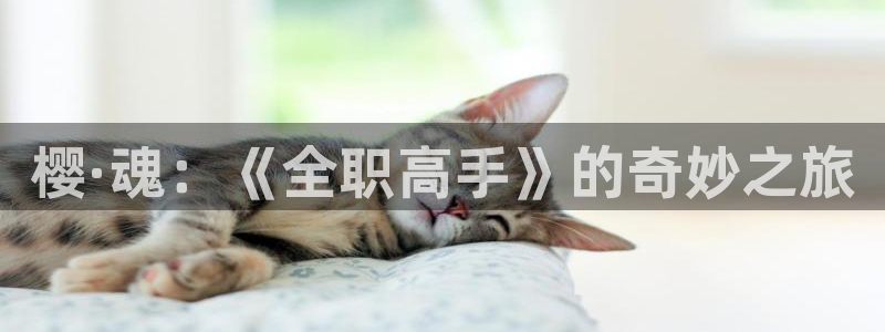 老湿影院怎么免费看电影