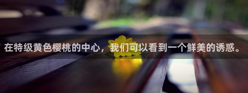 xk8073星空无限,老湿影院电视剧免费播