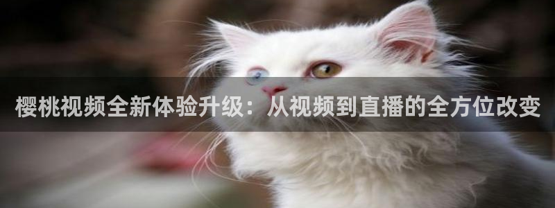 星空的照片图片