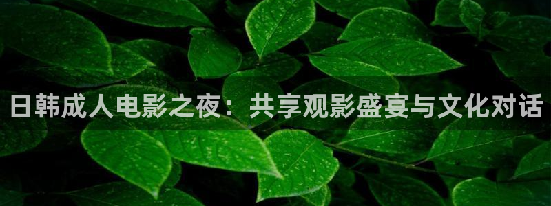 新生星空影视