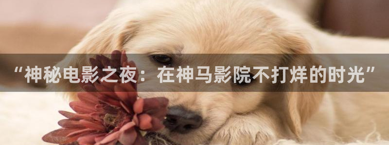 星空无限传媒在线电影