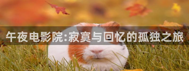老湿影院最新电视剧大全