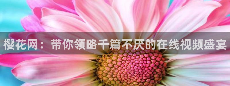 老湿影院2026