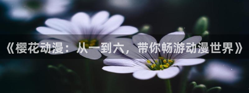 老湿影院电影网