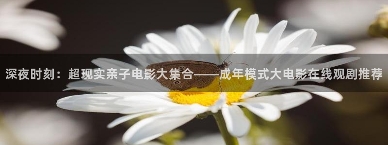 老湿影院免费观看电影2023
