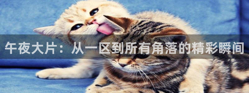 背景星空