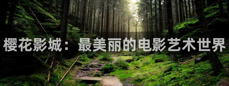星空影城