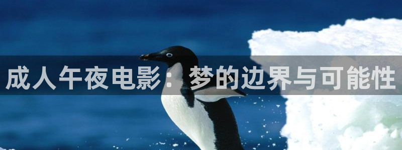 在线观看星空电影