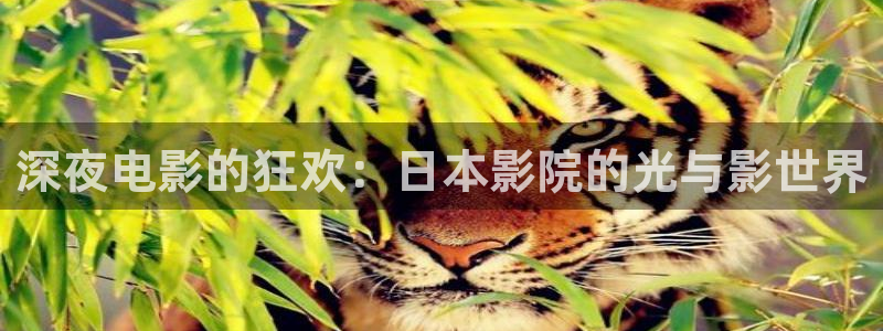 老湿影院在线免费观看