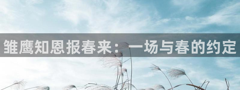 老湿影院老湿影院