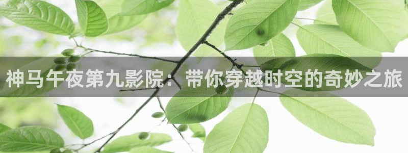老湿影院电视剧免费观看完整版