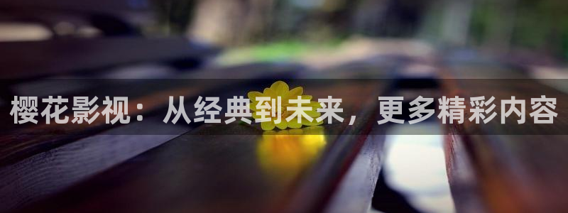 星空影视完整免费观看