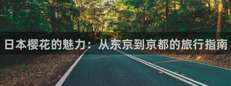 老湿影院手机在线观看免费完整版