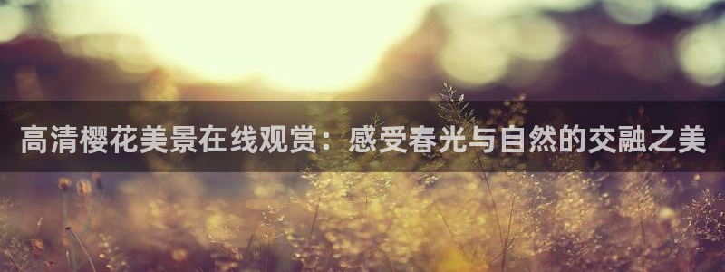 星空电影影院