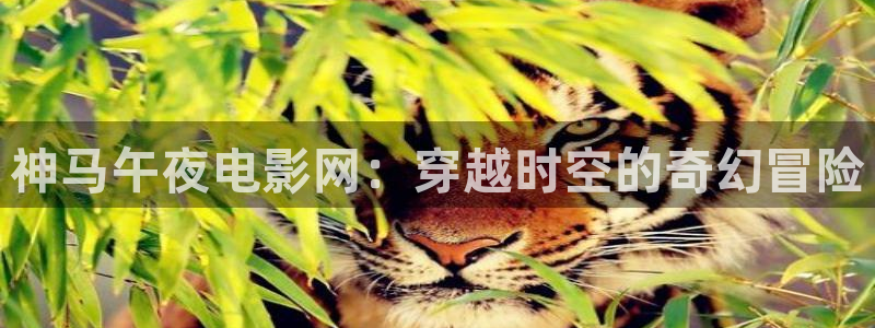 星空影视是真的吗