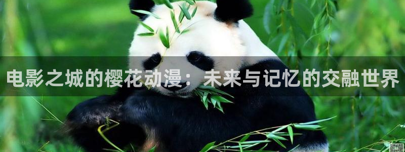 老湿影院日本