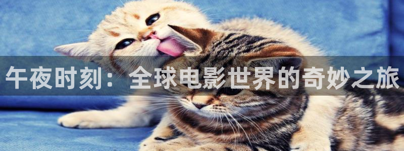 星空电影网最新