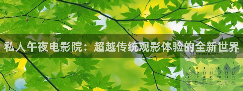 老湿影院电影网