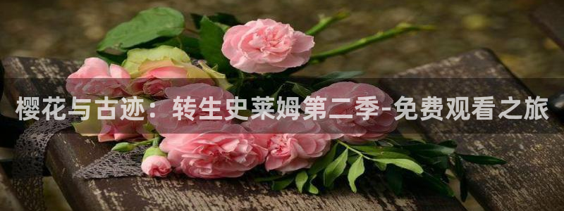 老湿影院电影免费播放