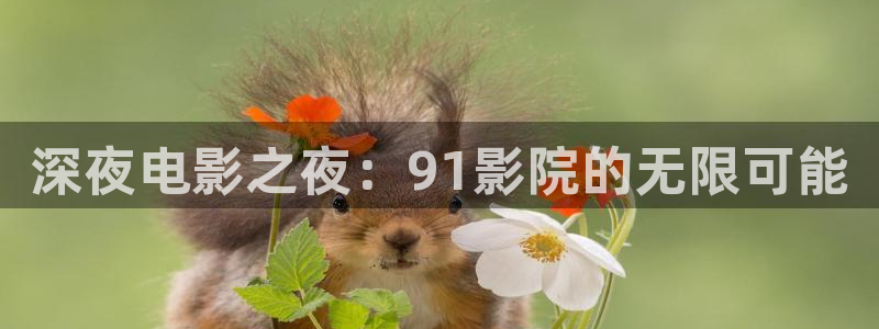 星空影视免费看电视剧